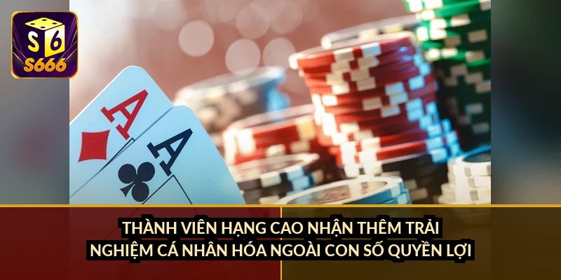 Thành viên hạng cao nhận thêm trải nghiệm cá nhân hóa ngoài con số quyền lợi